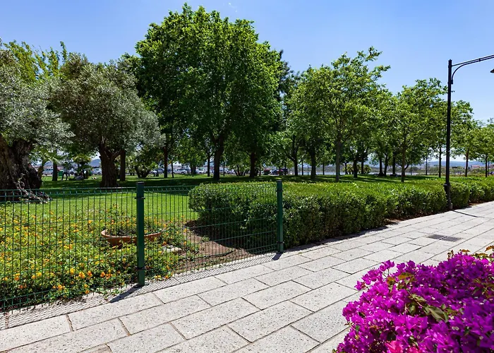 Cavour Living * Ольбия